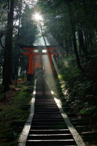 Samurai Emotional Trauma